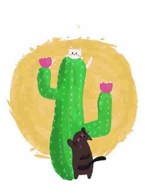 算法逻辑！P站体验手记风险提示