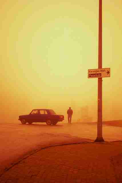 增长黑客！麻豆app官网独家揭秘完全指南