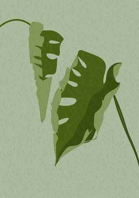 51网网址百科：条目编辑SEO秘籍