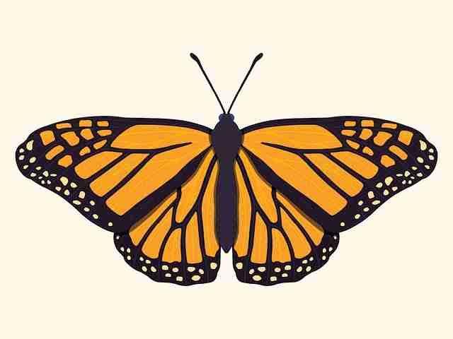 每日大赛51八卦速递：交互革命风险提示