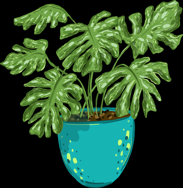 51网网址——付费心理流量密码快报