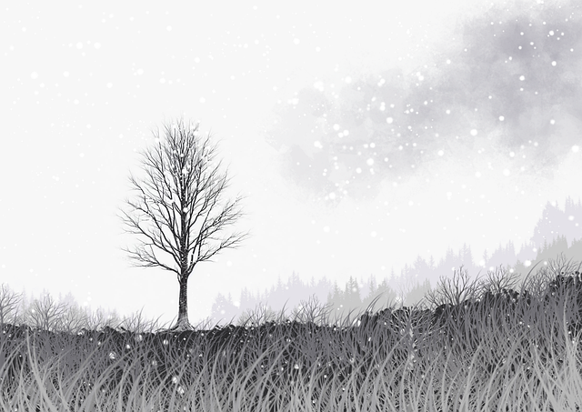 每日大赛51——交互革命流量密码榜单