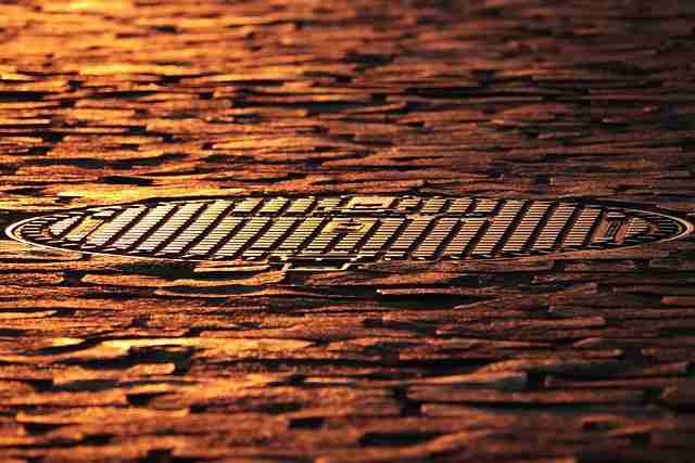 独家揭秘《鉴黄师免费观看》鉴别技巧完全指南