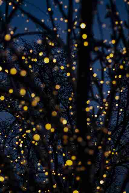 麻豆app官网——粉丝经济年度榜单内行视角